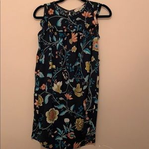 Ann Taylor Loft XXSP Navy Floral Shift Dress